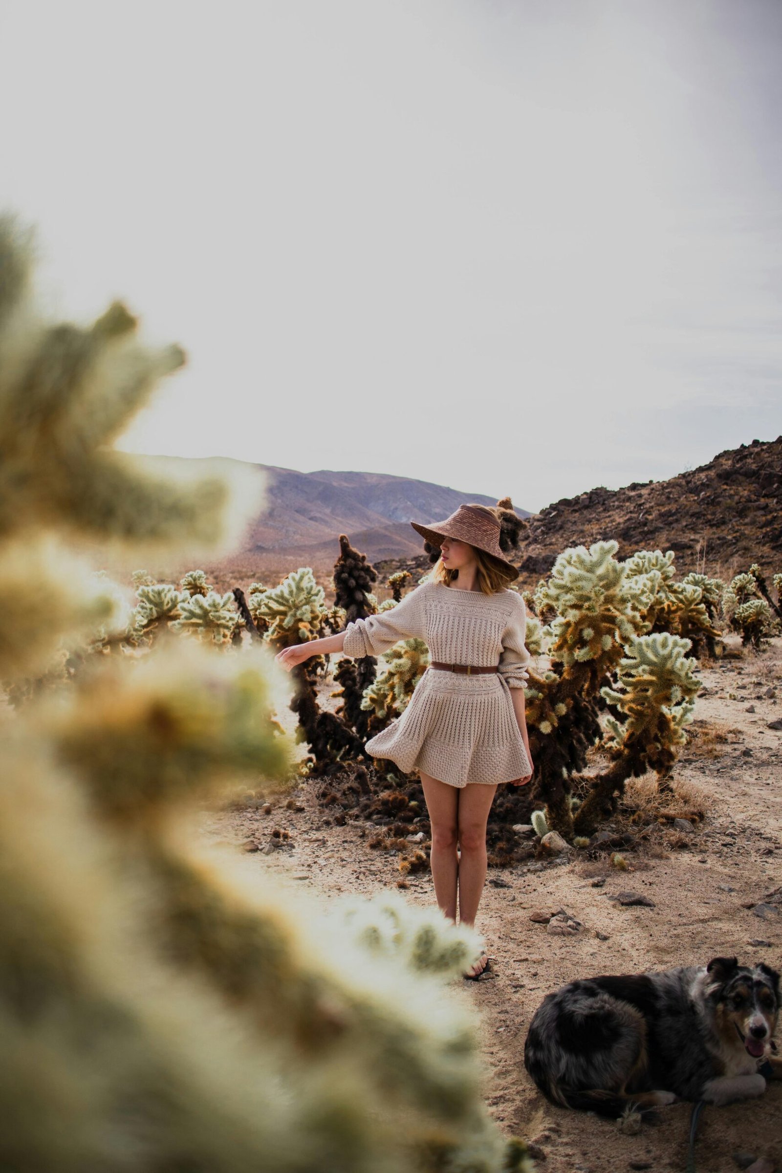 Fashionable woman in desert with dog, amidst cactuses and vast landscape.