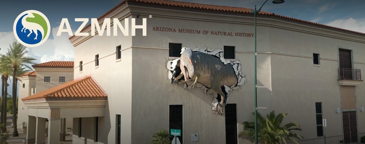 Arizona Museum of Natural History: A Fun Family Adventure in Mesa, Arizona