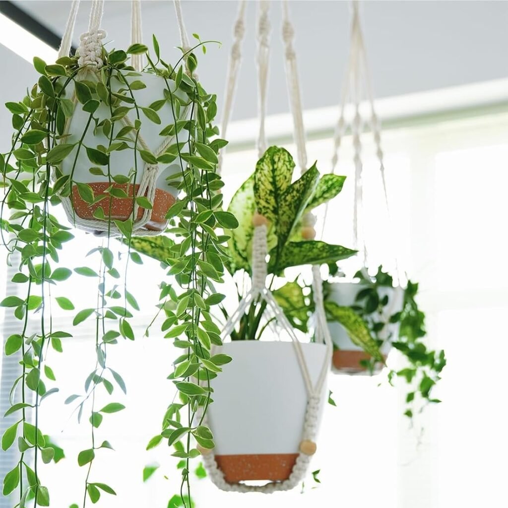 macrame plant holder